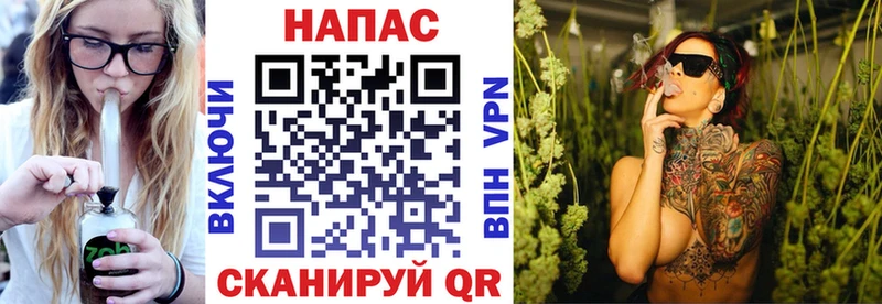 KRAKEN ONION  Шагонар  Шишки марихуана Ganja 